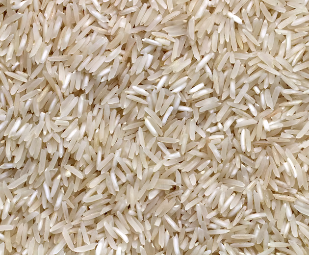 Rice